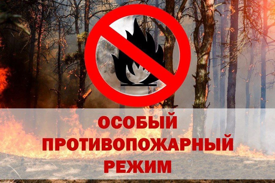 Особый противопожарный режим в Ровенском районе.