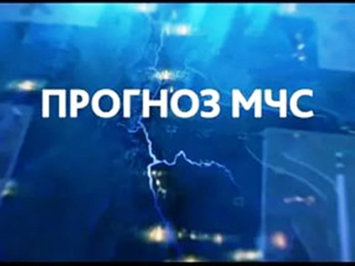 Оперативный прогноз.