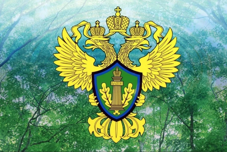 Личный прием граждан по вопросам исполнения природоохранного законодательства..