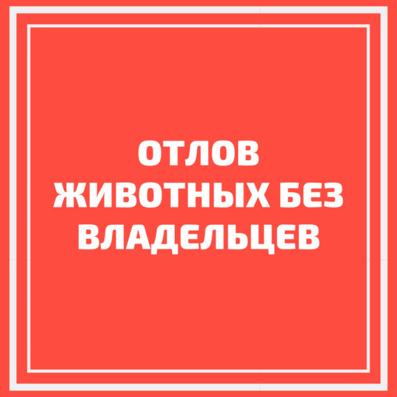 График планового отлова. График планового отлова.